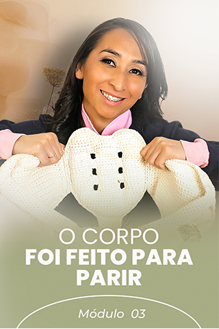 Capa de módulo 03